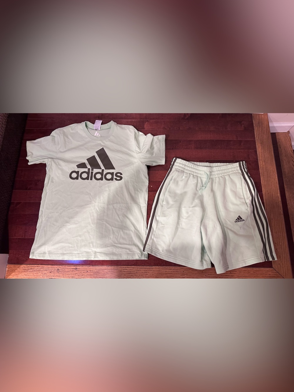 adidas Men’s Mint Green Athletic Shorts & Shirt with Side Stripes